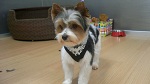 2012-11-15 11.03.17.jpg